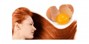 Saçı besleyen yumurta maskesi